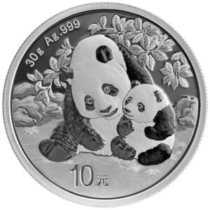 2024 China 30-gm Silver Panda Brilliant Uncirculated